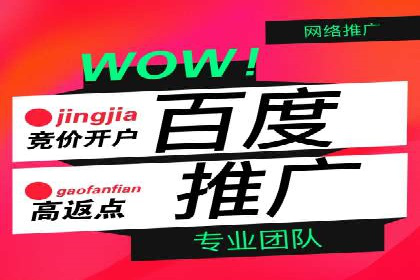 某信息流广告公司——策略与效果的完美结合